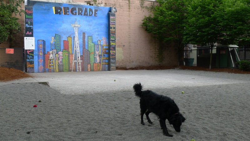 First thing we stumbled across: Regrade Dog Park, a few blocks from the hotel